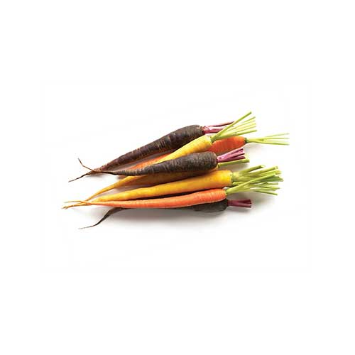 Colored Carrots
