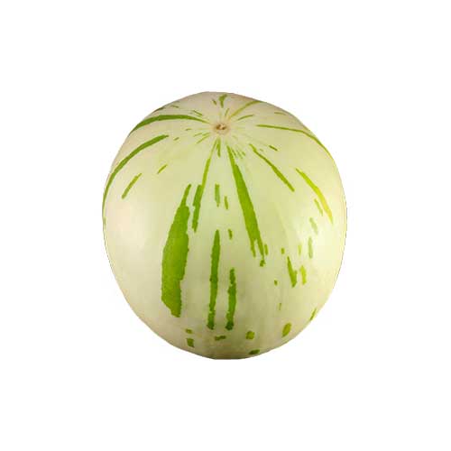 Dino Melon