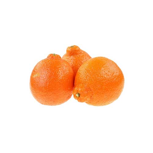 Minneola Tangelo