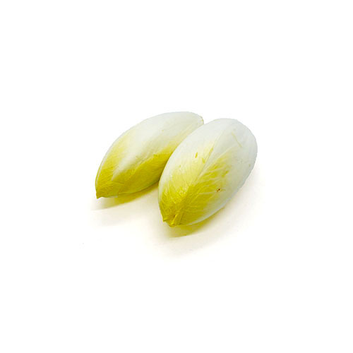 Belgian Endive