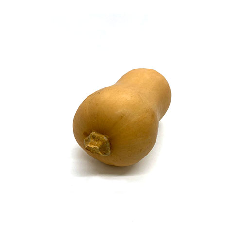 Butternut Squash