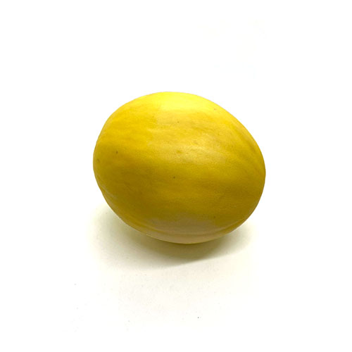 Canary Melon