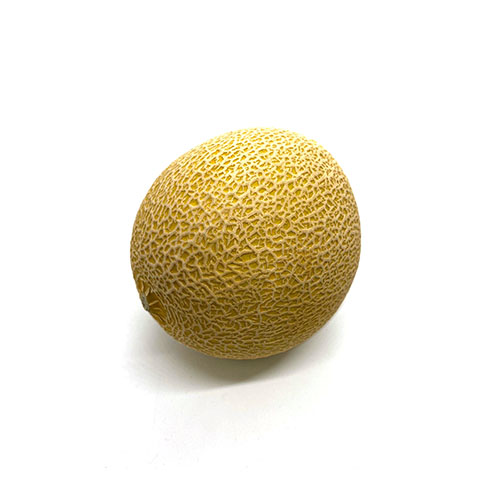 Cantaloupe