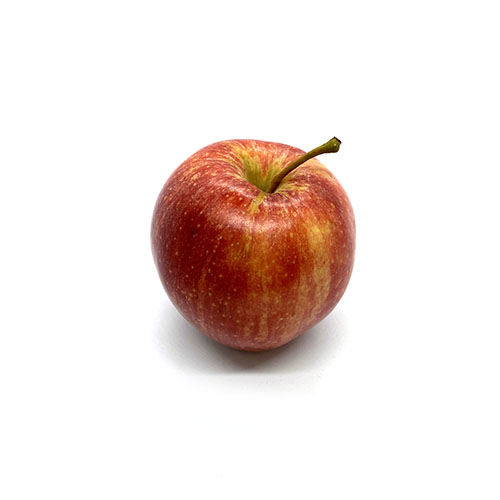 Gala Apple