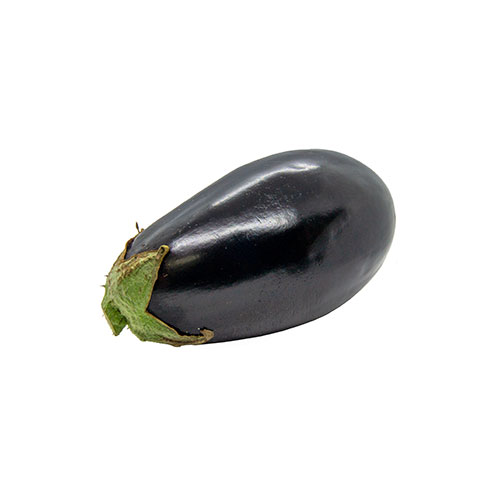 Globe Eggplant