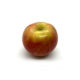 Honeycrisp Apple