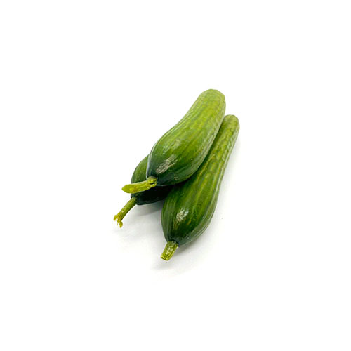 Lebanese Cucumber