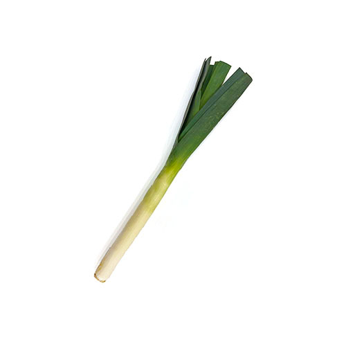 Leek