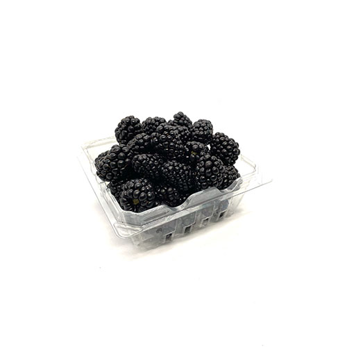 Organic Blackberry