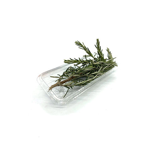 Rosemary