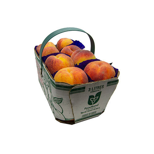Yellow Peach ON, basket