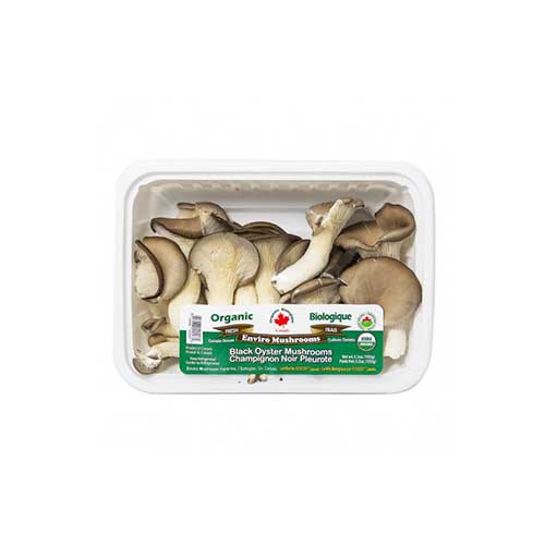 Organic Black Oyster Mushrooms