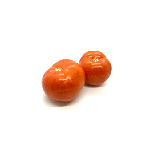 Field Tomato