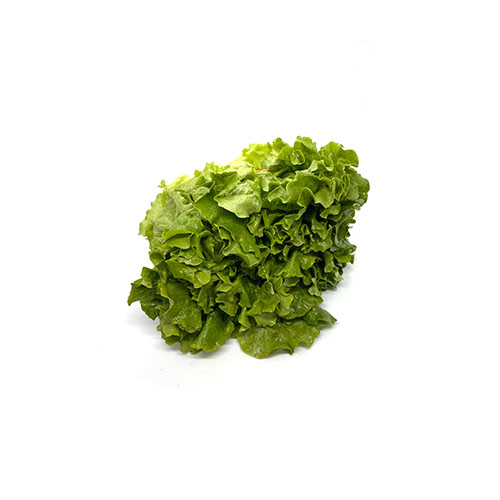 Green Leaf Lettuce