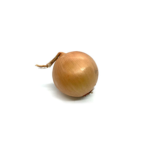 Spanish Onion